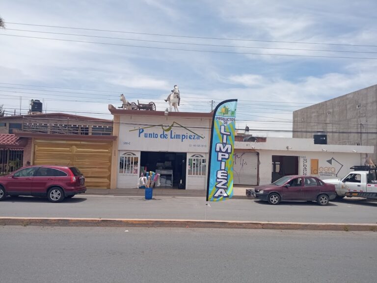 10045 punto de limpieza 768x576