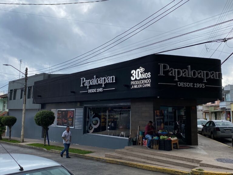 13032 carnes papaloapan xalapa 768x576