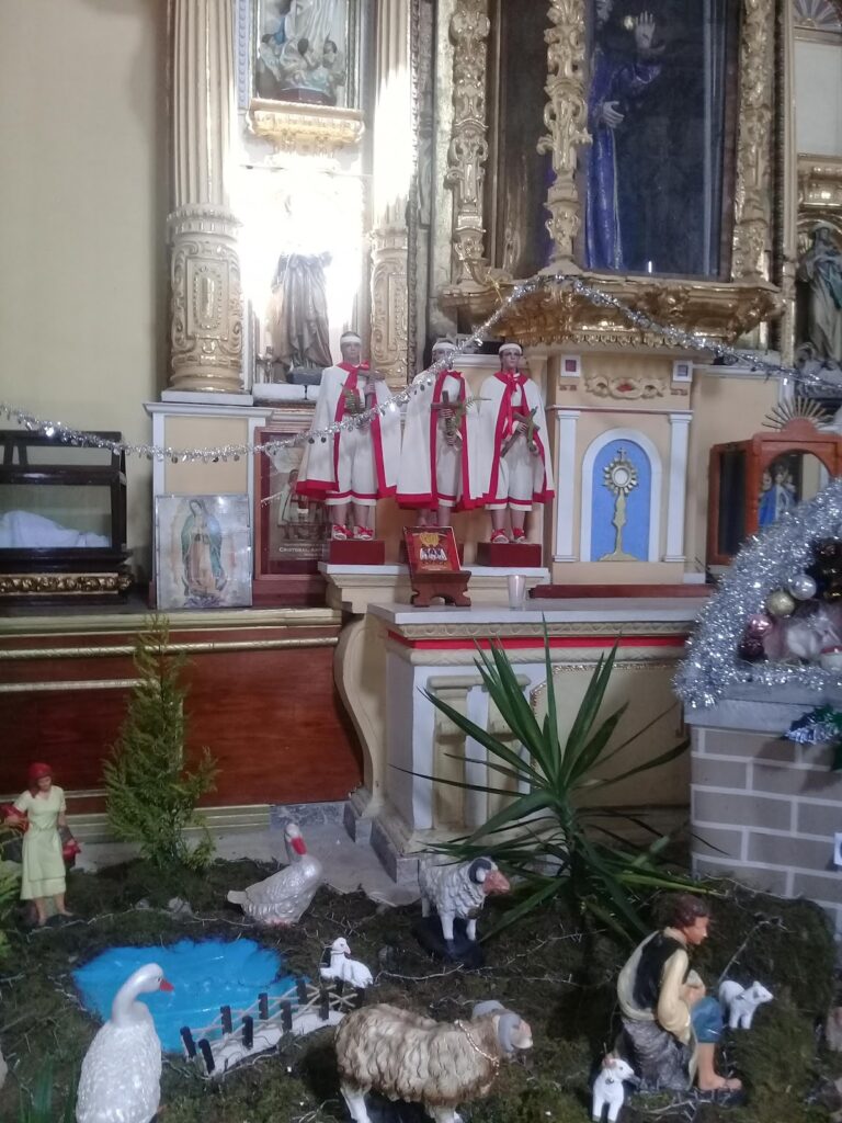 13036 la vencedora 768x1024