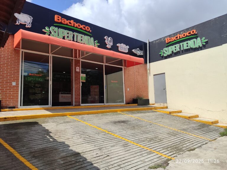 13050 bachoco tienda xalapa maestros 768x576