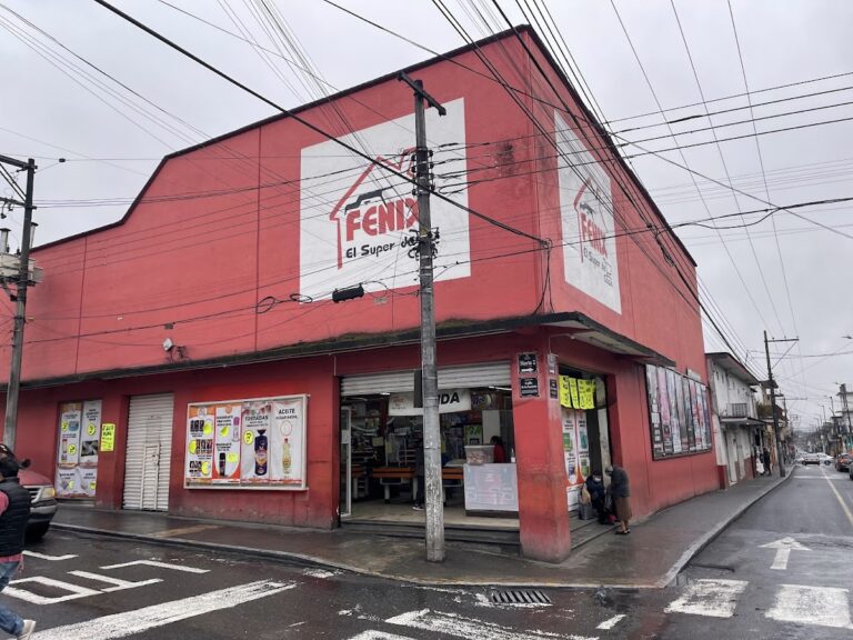 15576 fenix orizaba 768x576