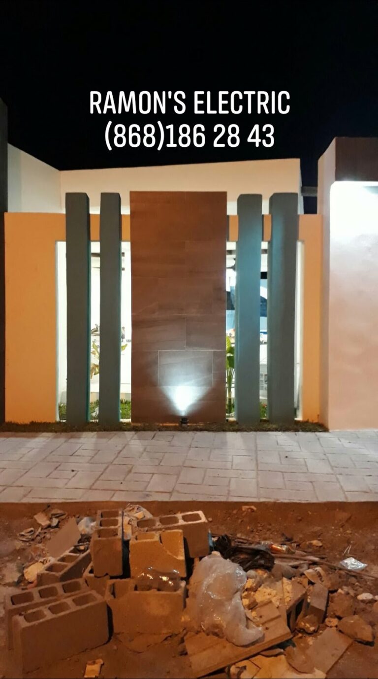 1615 electricista en matamoros 768x1378