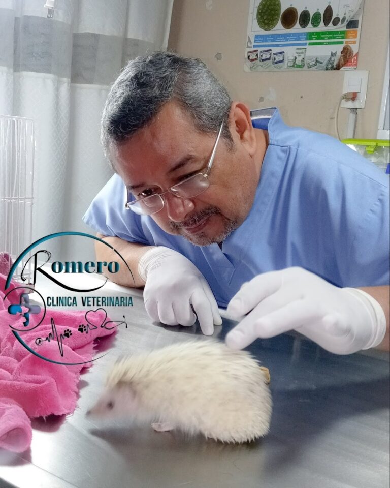 18089 clinica veterinaria romero 768x960