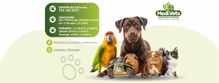 18109 centro medico veterinario medi.vets  768x292