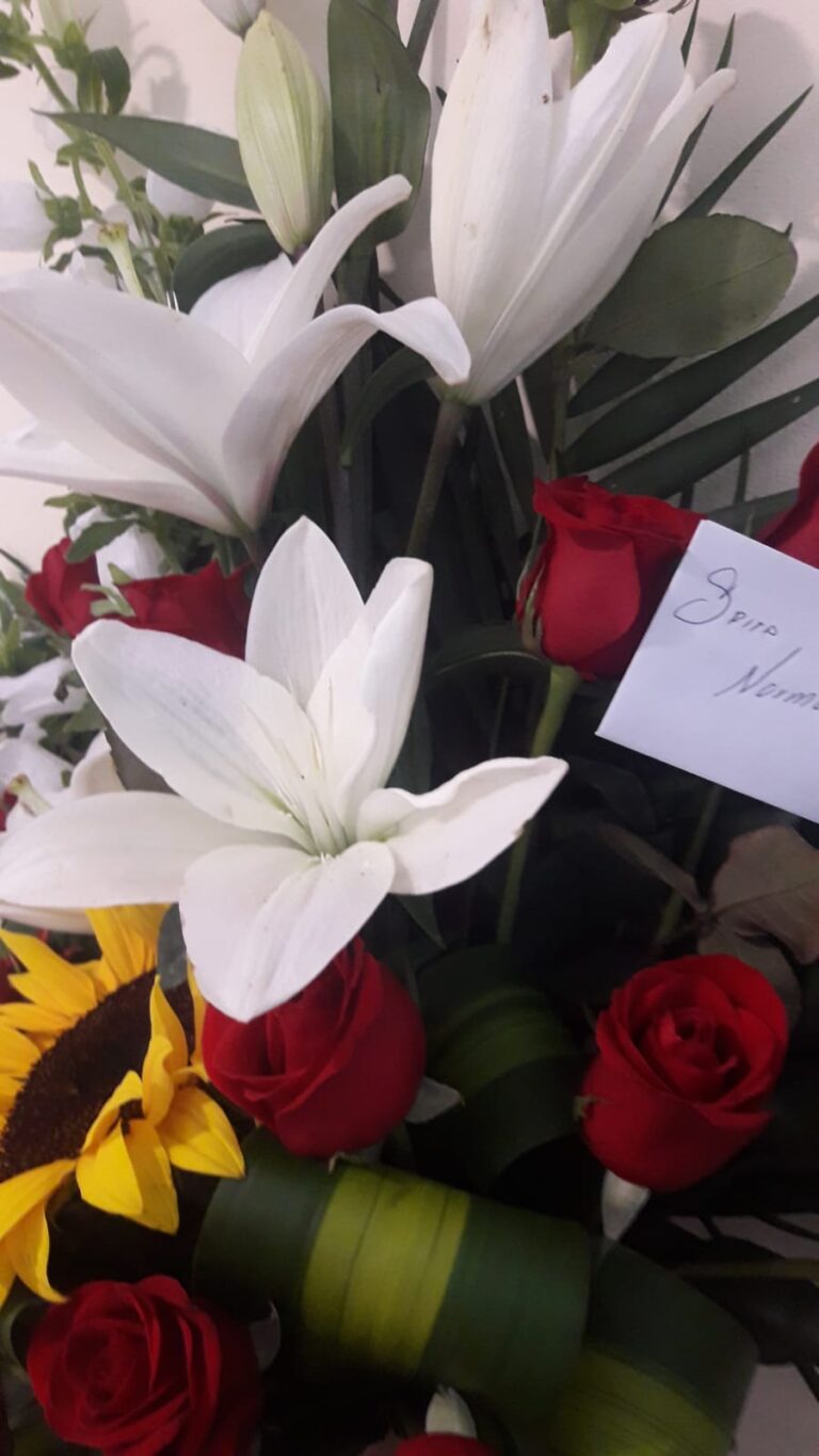 2175 centro medico quirurgico 8211 hospital san juan del rio 768x1365