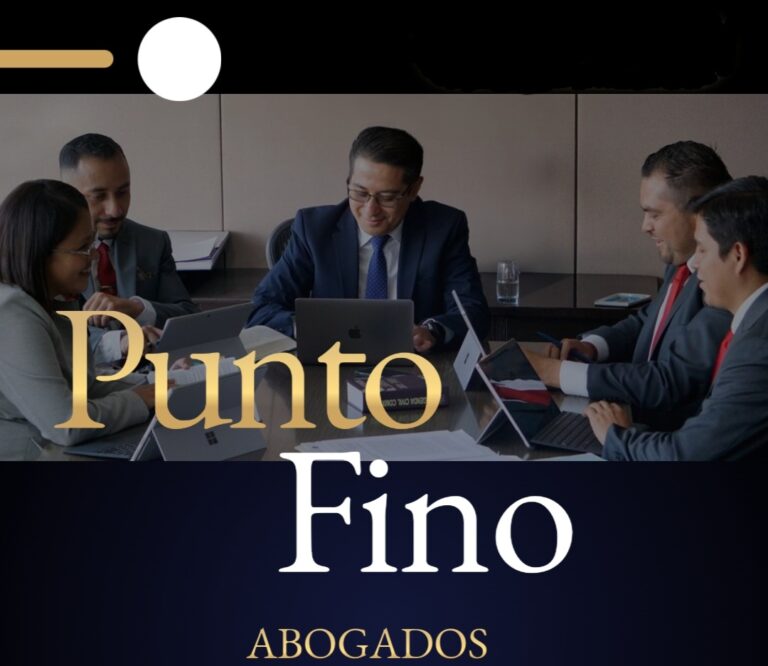 25204 punto fino abogados s.c 768x666