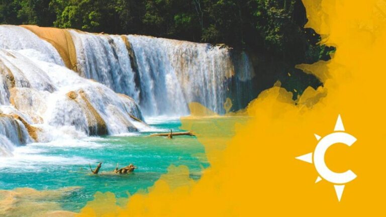 26168 agencia chiapas viajes 768x432