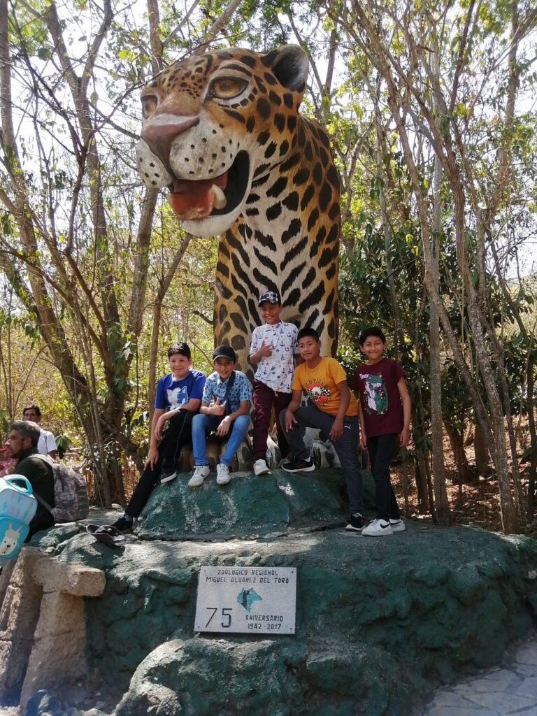 26176 agencia de viajes kayche san cristobal 768x1024