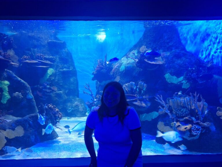 26445 ar tours tampico agencia de viajes 768x576