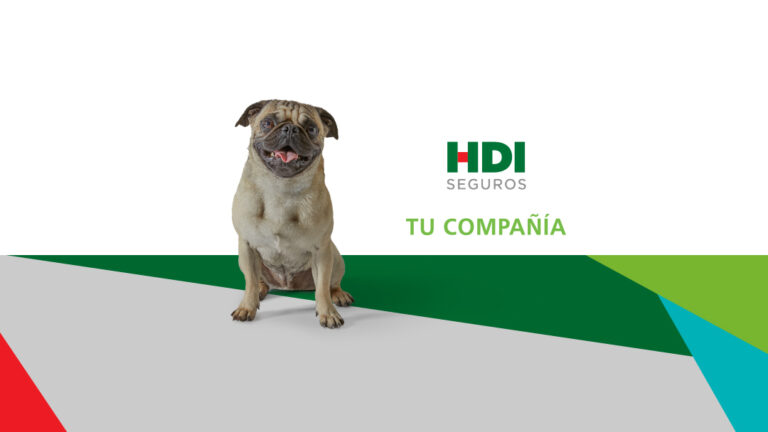 27037 hdi seguros zacatecas 768x432