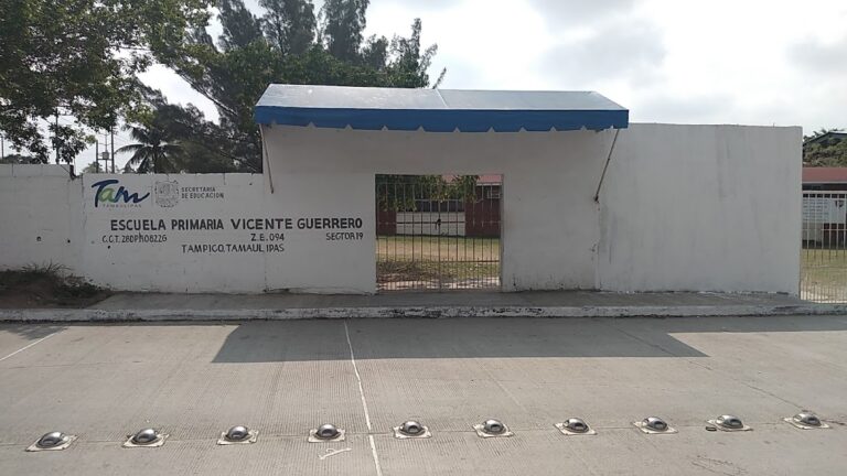 30184 primaria 8211 vicente guerrero 768x432