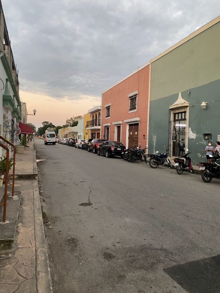 32486 omnifoto 768x1024