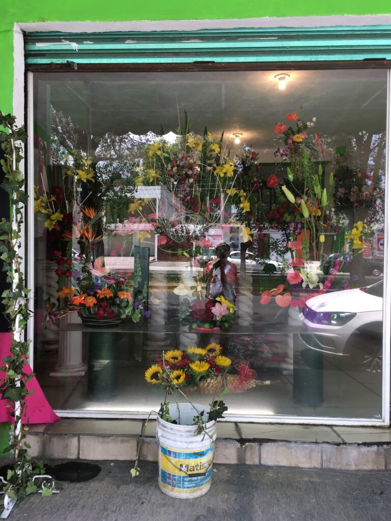 33466 floreria tlaxcala 768x1024