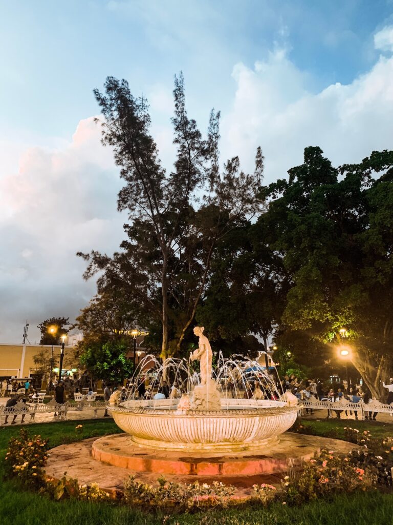 36086 tierra valladolid 768x1024