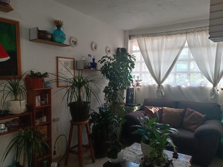 36683 despacho juridico penal gomez zaragoza abogado penalista especialista en amparo defensor del imputado asesor de la victima 768x575