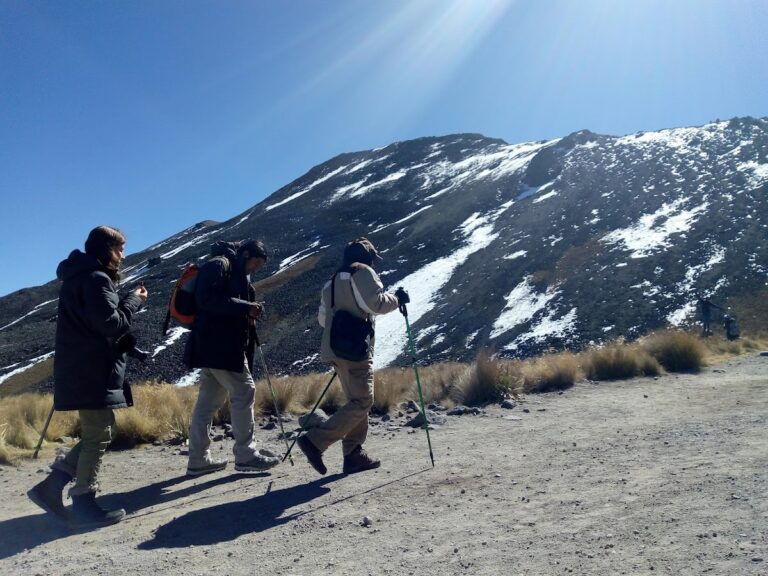 37638 viajes quality chilpancingo 768x576