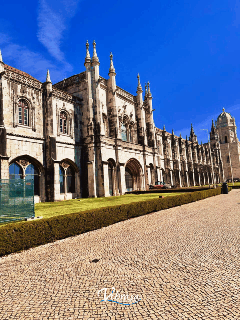 37910 vibrasa 768x1024