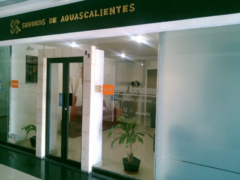 37981 seguros y fianzas aguascalientes 768x576