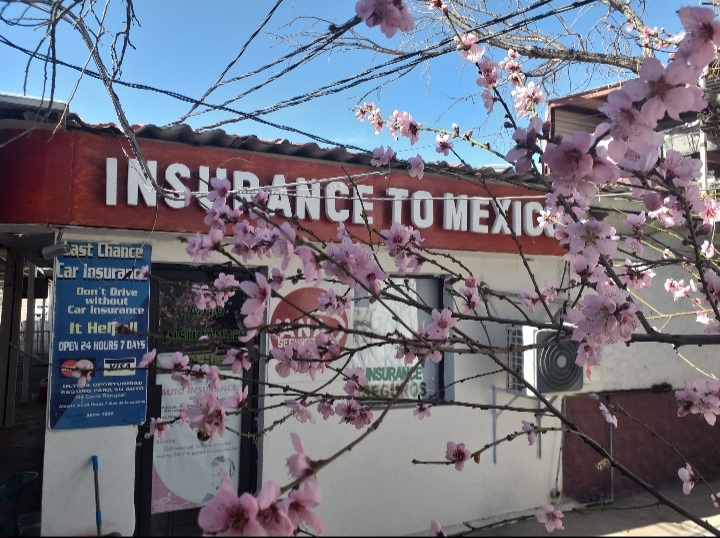 38366 nogales insurance