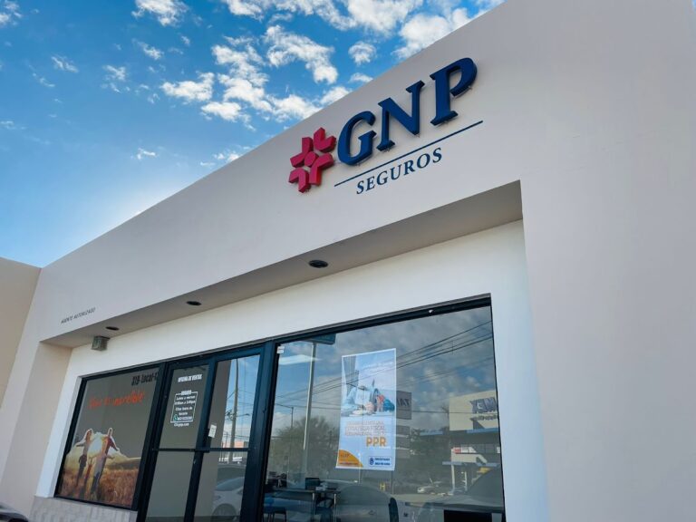 38378 seguros gnp hermosilo 768x576