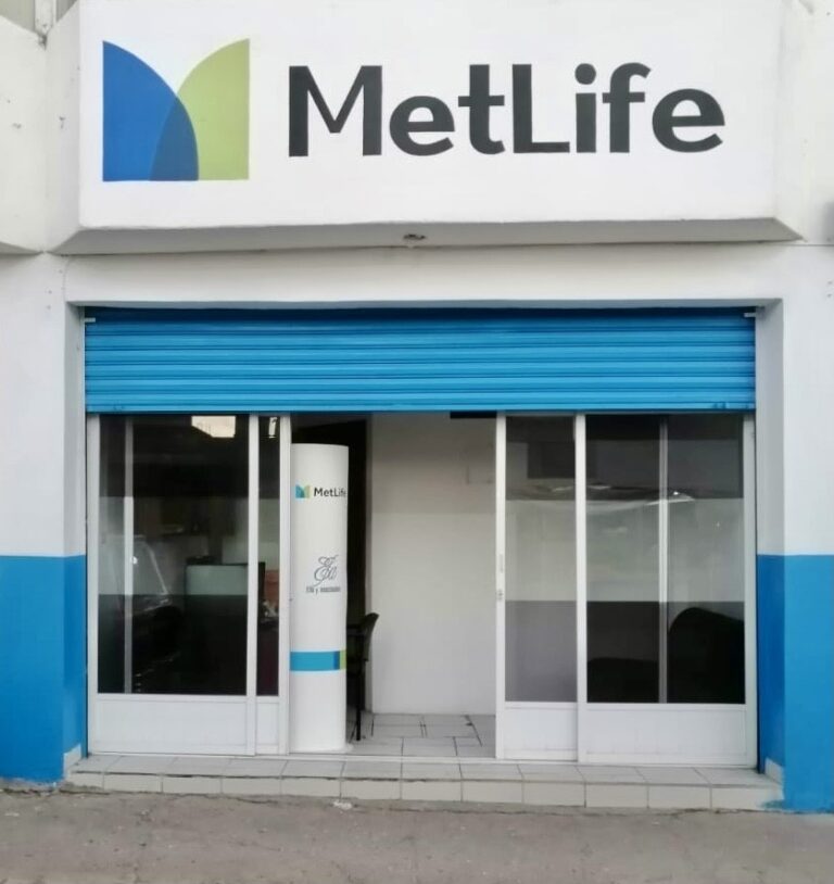 38458 metlife 768x814