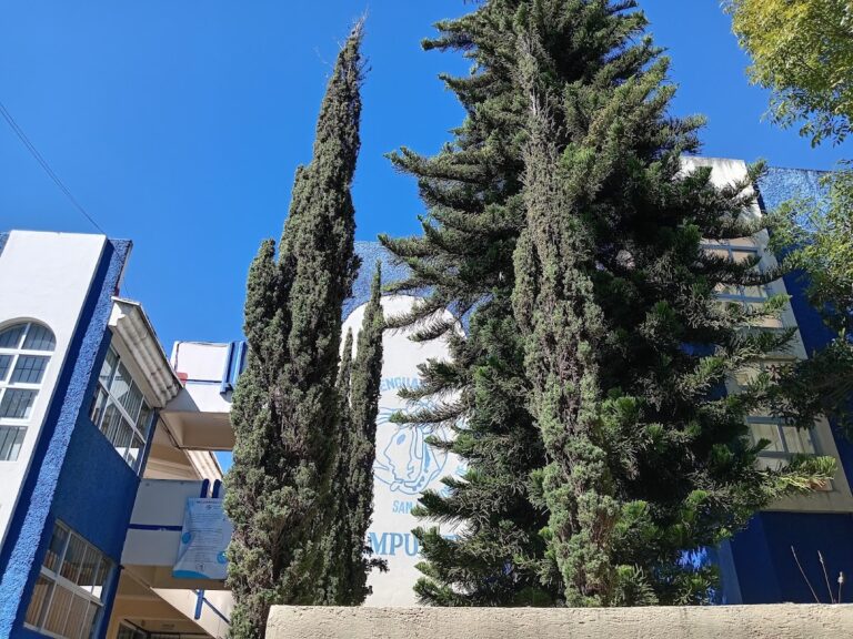 39494 escuela de lenguas universidad autonoma de chiapas 768x576