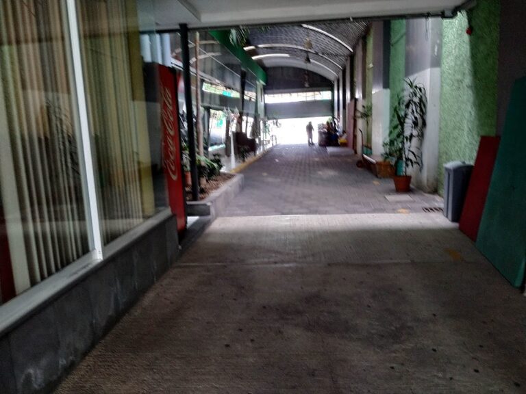 41654 direccion general de educacion primaria estatal 768x576