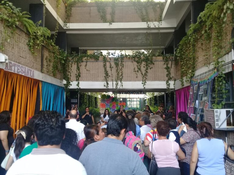 41787 instituto educativo de tabasco carlos pellicer camara 768x576