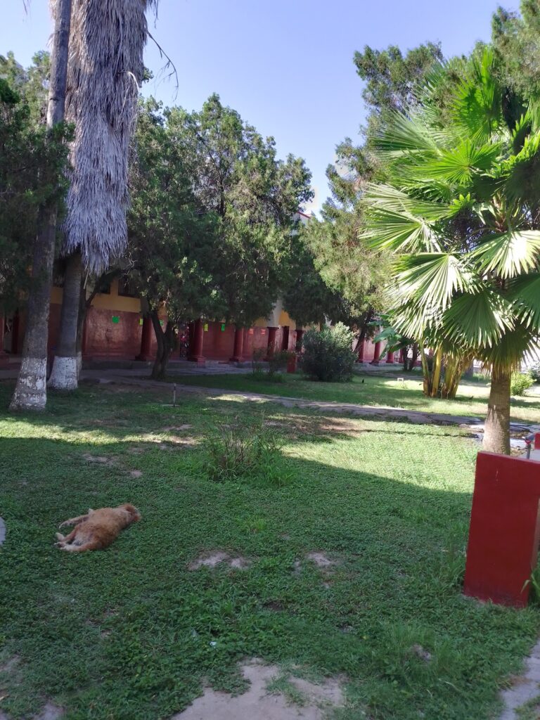 42117 secundaria general numero 1 profesor juvenal boone flores 768x1024