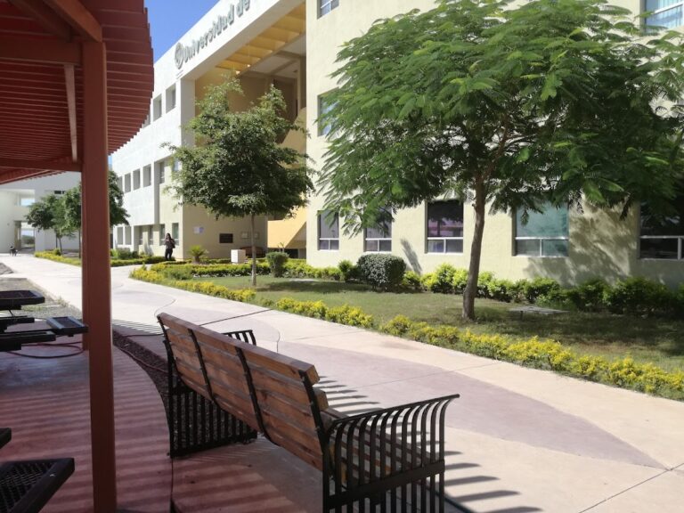 42531 universidad de sonora 768x576