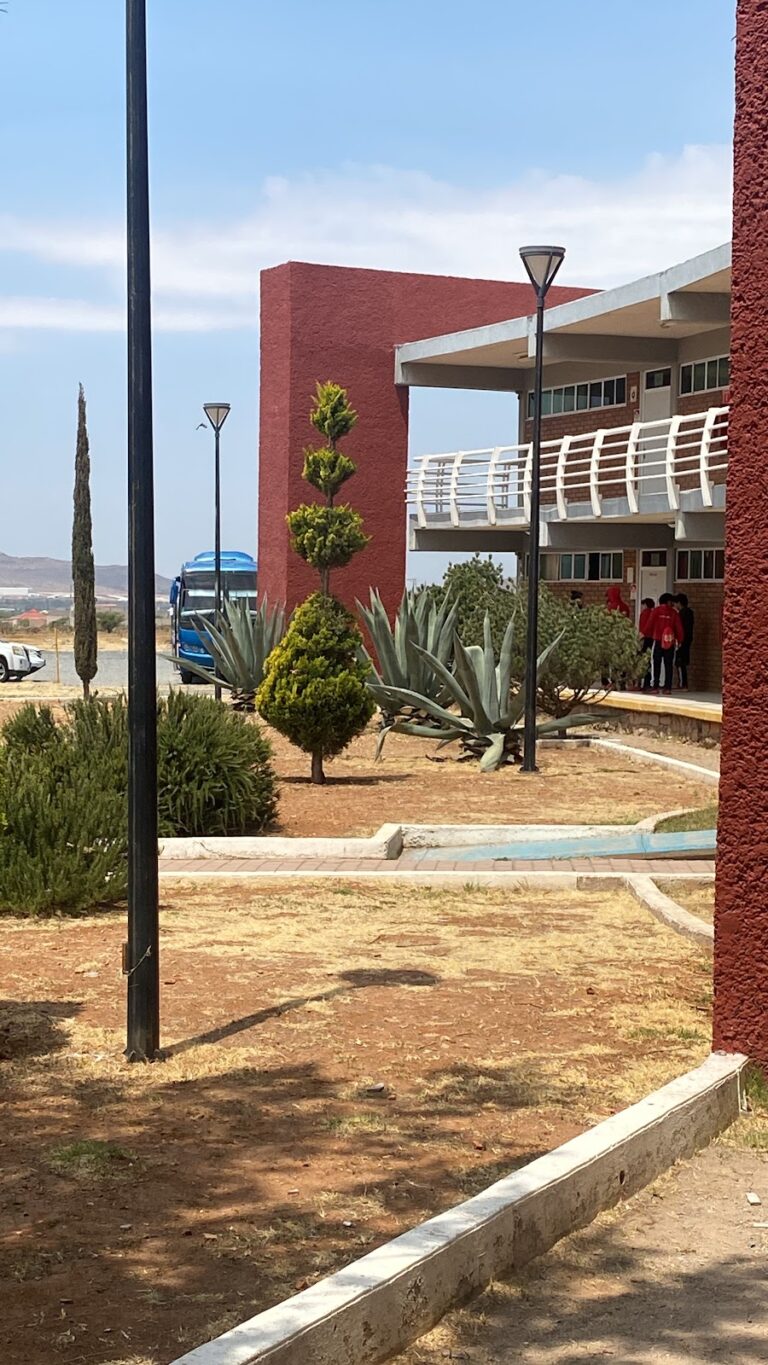 42554 universidad autonoma de fresnillo 768x1365