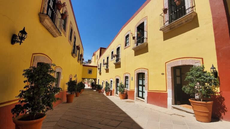 43560 meson de jobito 768x432