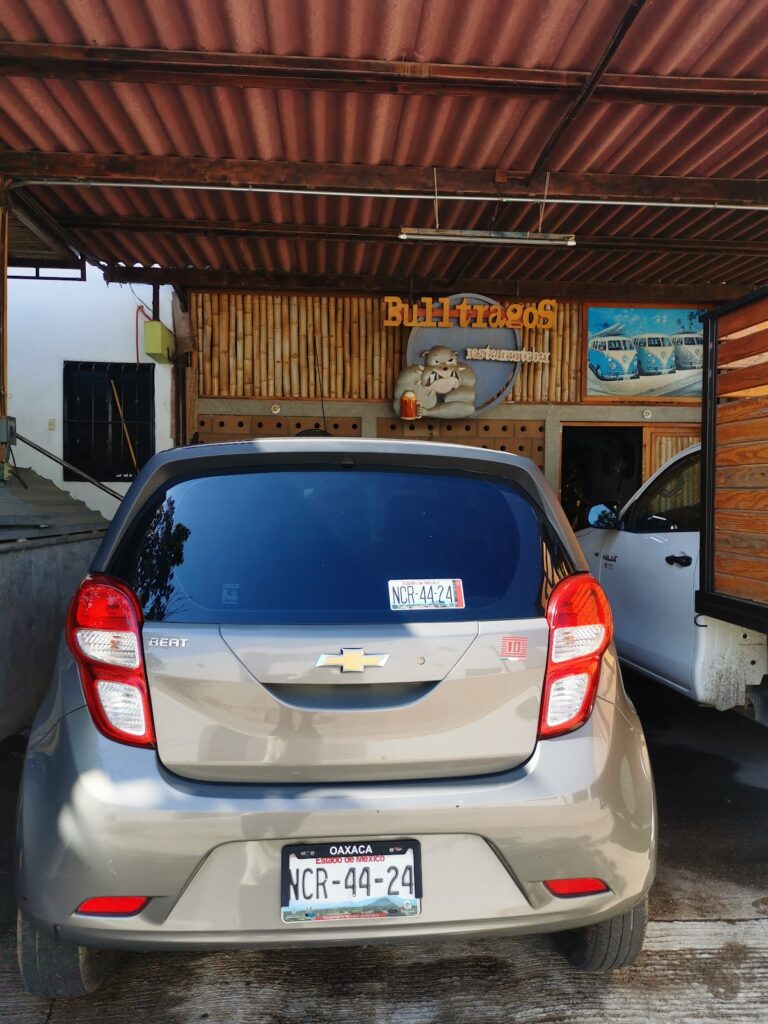 44226 bull cars rental 768x1024