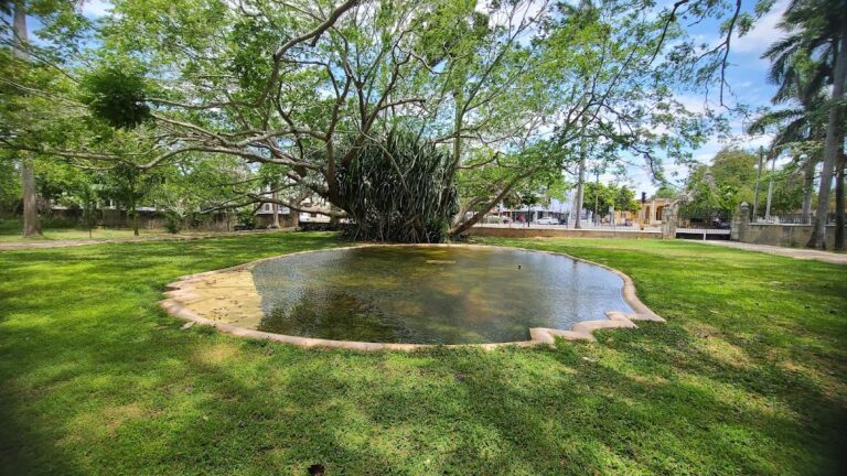 45373 casa faller 768x432