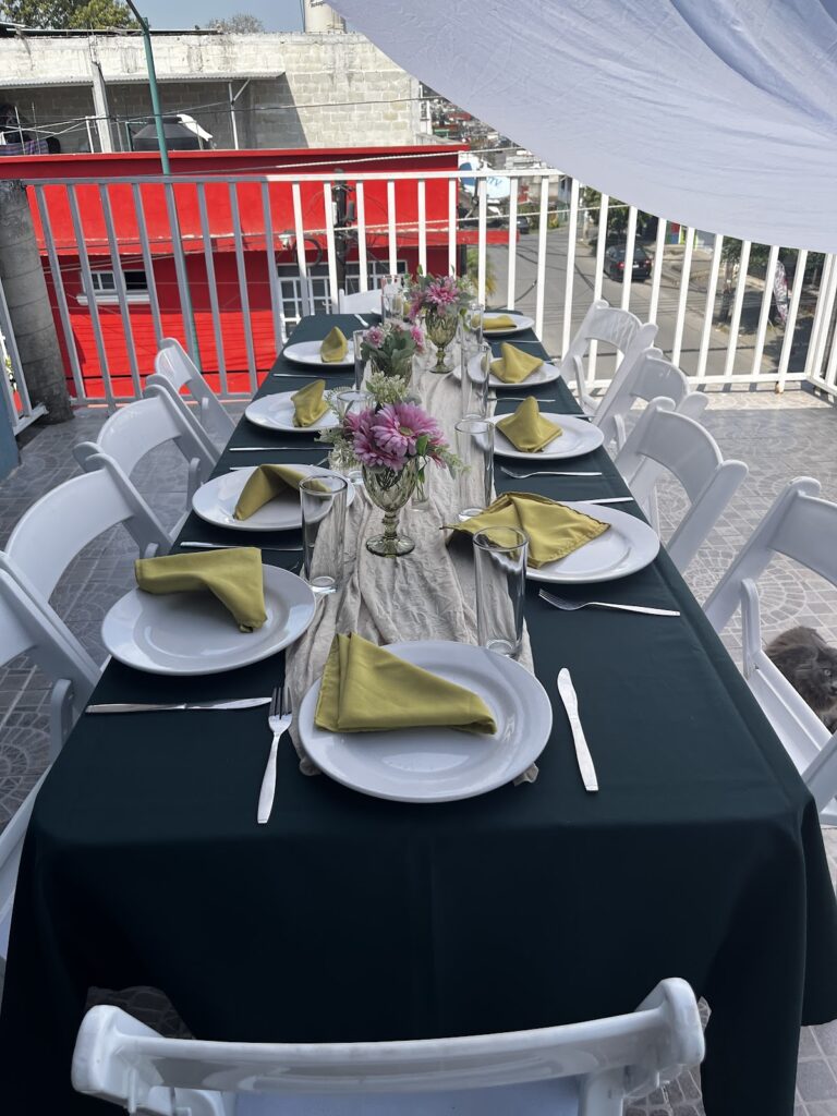 45393 gelfer 768x1024