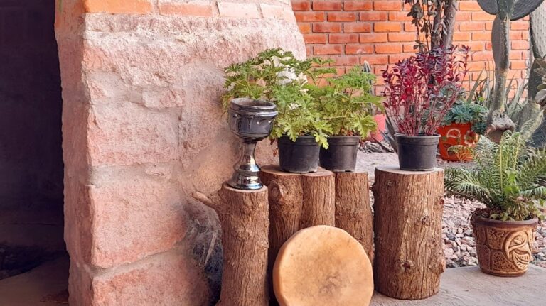 4616 yolotl temazcal spa san luis potosi 768x431