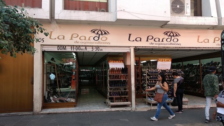 46820 zapateria la pardo de aguascalientes 768x432