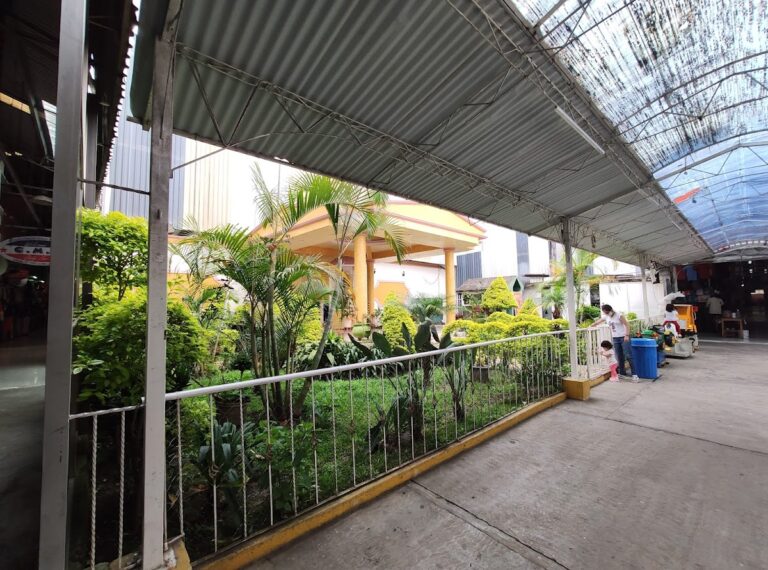 47772 tianguis 1 de mayo 768x570