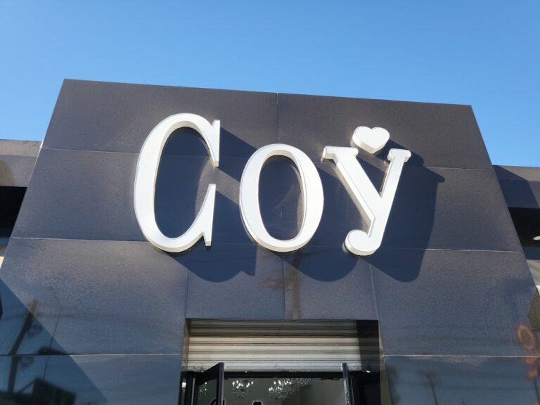 47849 coy accesorios 768x576