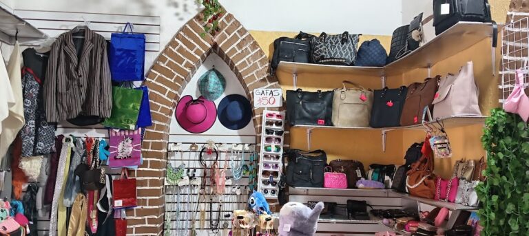 48289 aracos bolsas y accesorios de moda tlaxcala 768x343