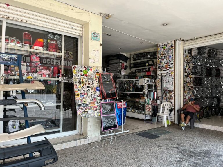 48310 accesorios automotrices neon 768x576