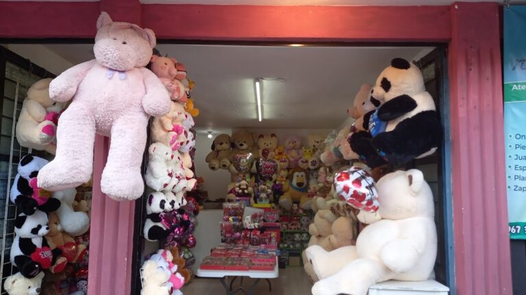 48446 la casa de los osos tienda de globos y regalos 768x432