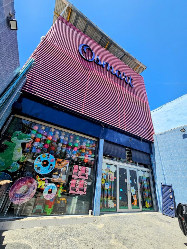 48504 osmart novedades y regalos vallarta 768x1024