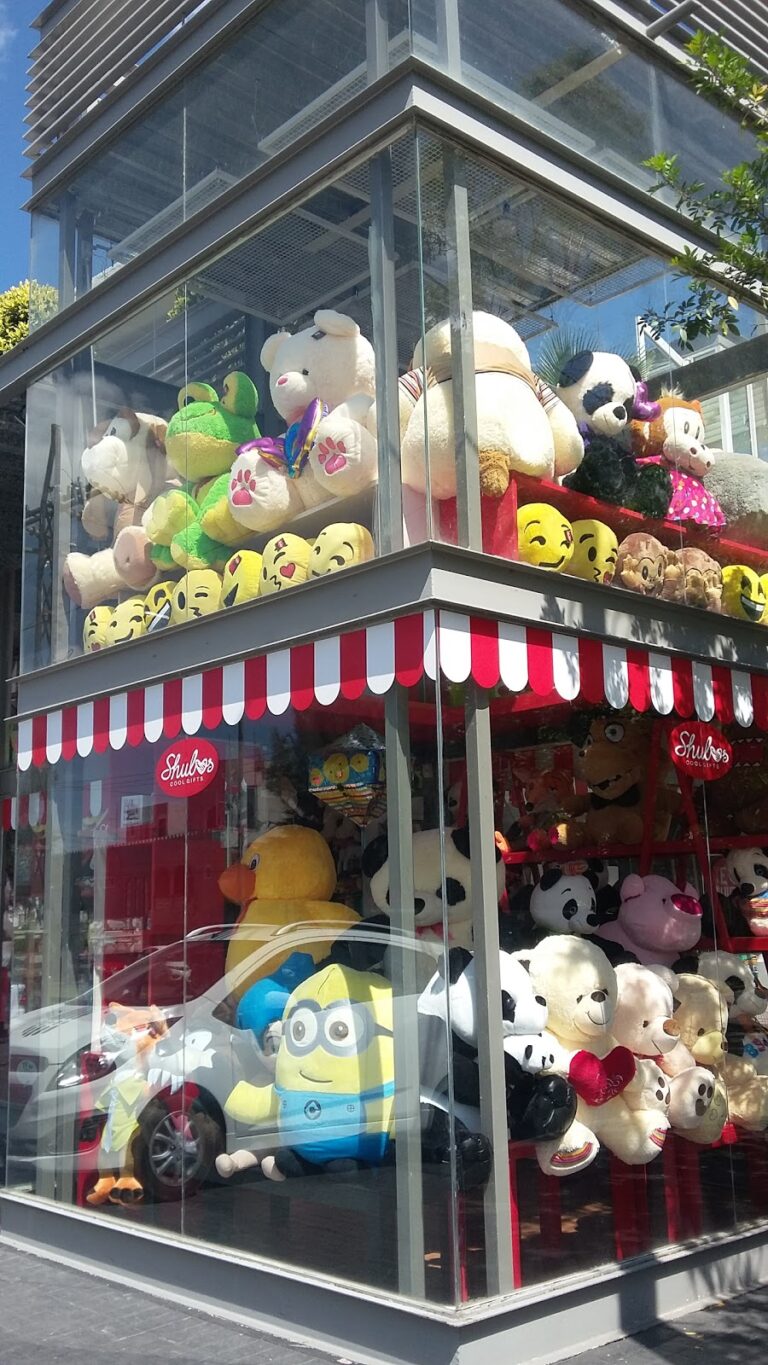 48690 shulos cool gifts 768x1365