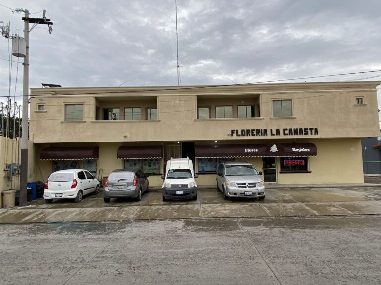 48758 flores y regalos la canasta 768x576