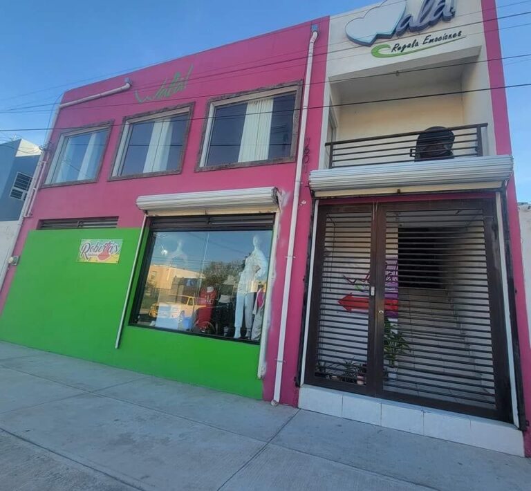 48764 wala regala emociones 768x710