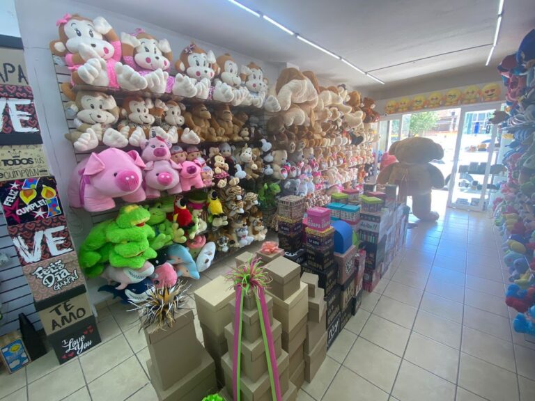 48838 delys regalos fresnillo 768x576