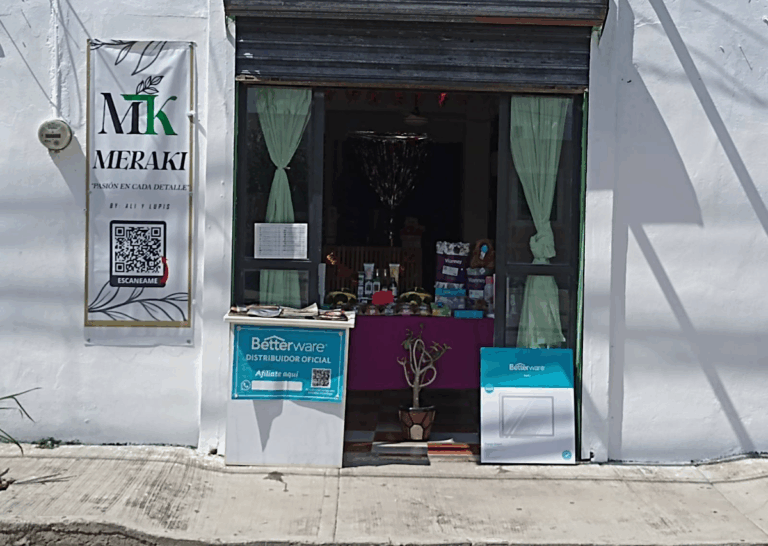 48853 meraki valladolid distribuidores 768x546