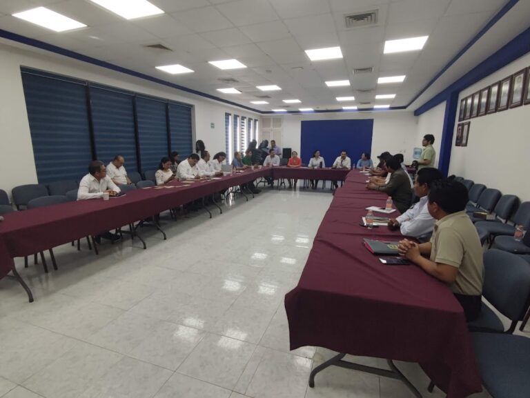 49911 colegio de arquitectos de la riviera maya a.c 768x577