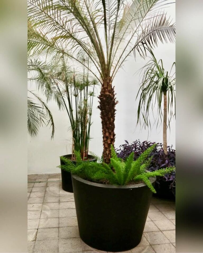 50429 8220viveros decogarden norte8221 768x960